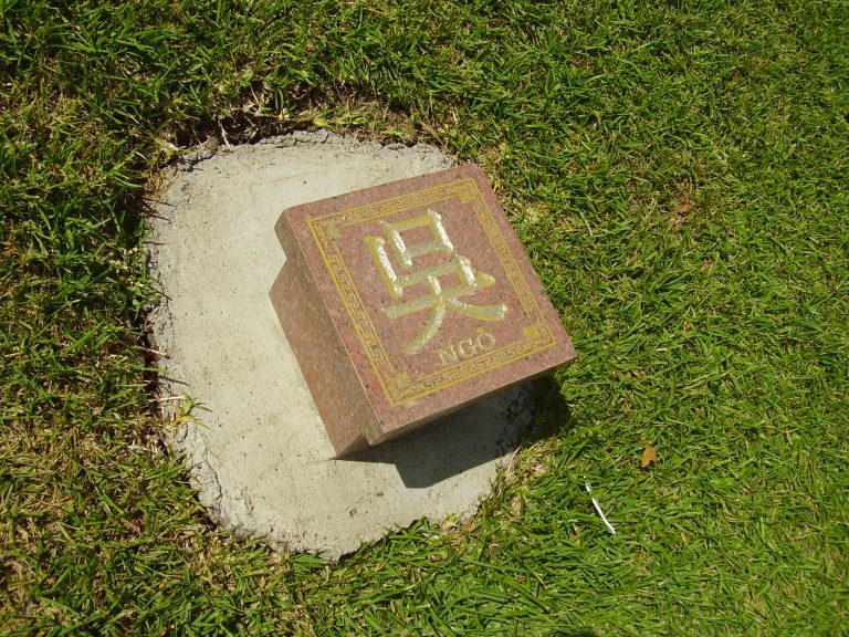 ngo-nhat-dai